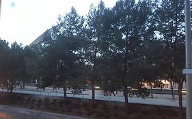 Apartment Manzanares